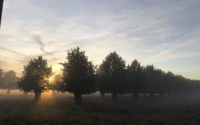 You don’t have to do it all