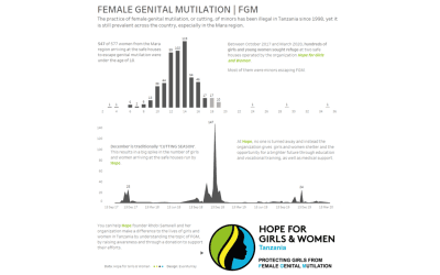 #MakeoverMonday 2020 Week 22: Safe Houses for Girls and Women At Risk of FGM