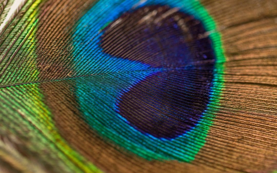 Why attention to detail sets you apart from everyone else