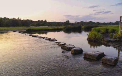 Your career path is a collection of stepping stones. Learn to identify them.