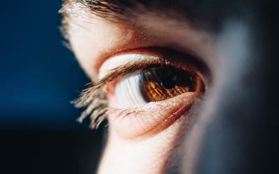 The human skills that matter for a data careers