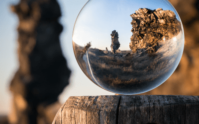 Are you missing your opportunity to learn through observation?