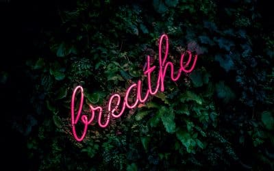 Stay Cool This Festive Season…